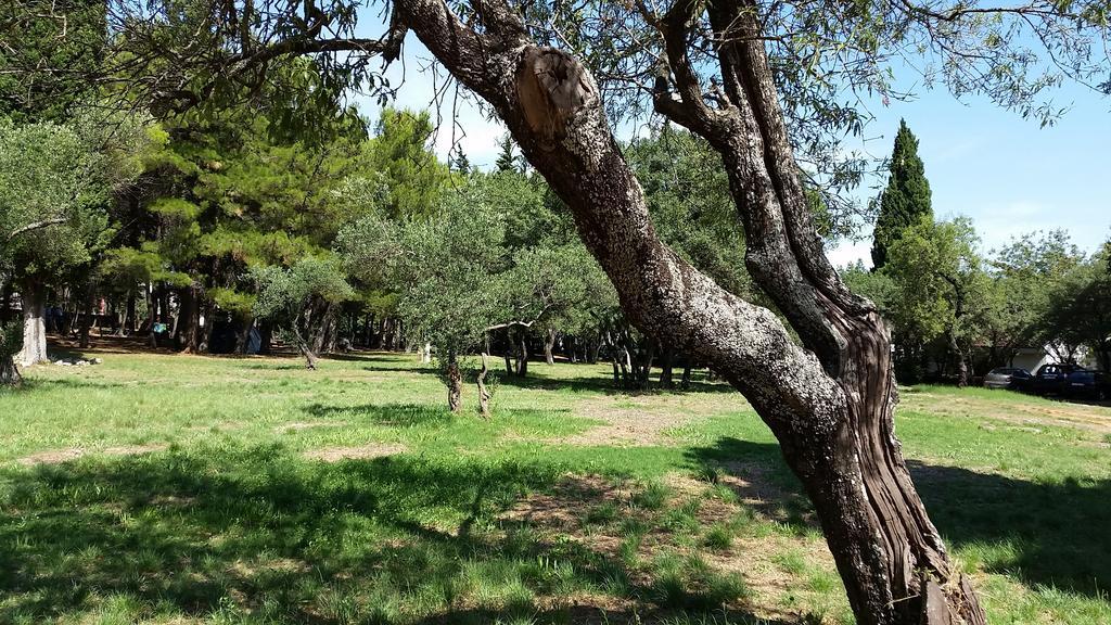 Jurjevac Parco vacanze Stari Grad (Hvar)